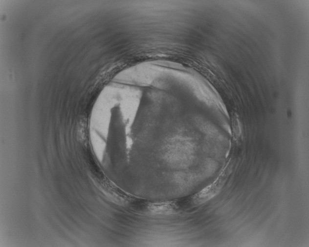 X0000067880175200605111834