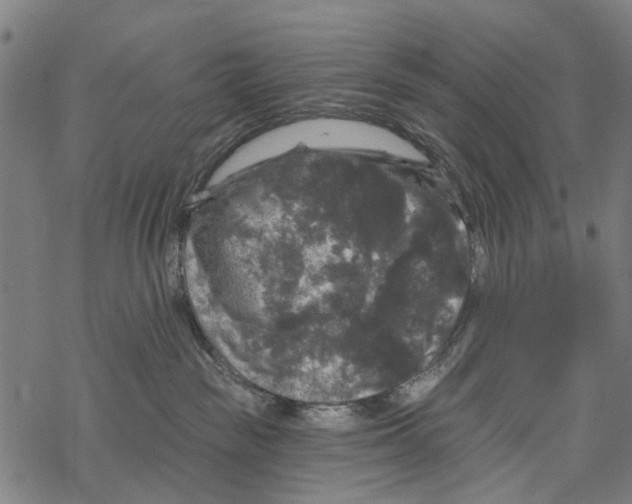 X0000067880189200605111835
