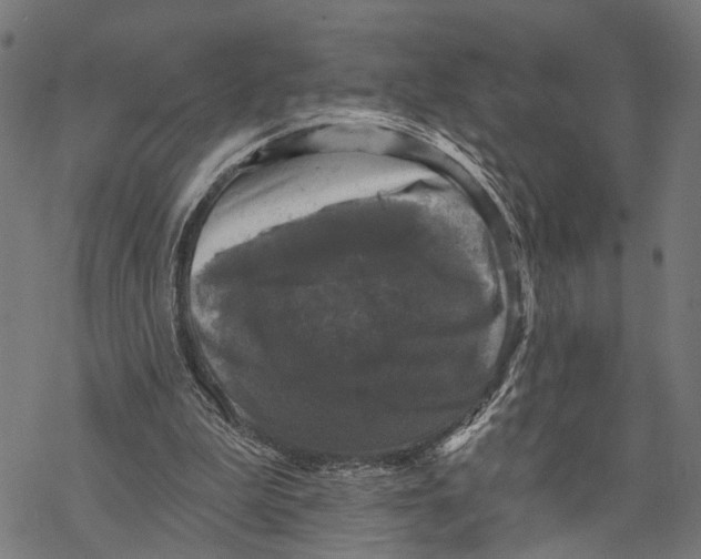 X0000067880199200605111834