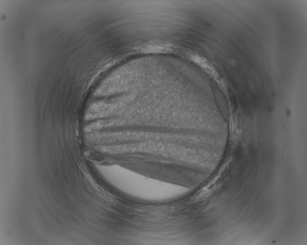 X0000067880201200605111834