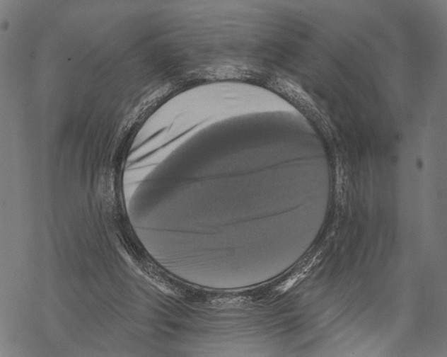X0000067880202200605111834