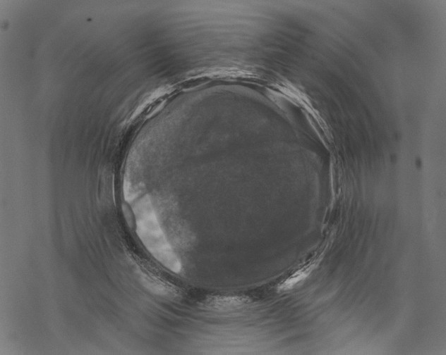X0000067880205200605111834