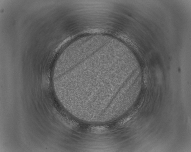 X0000067880208200605111834