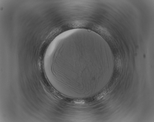 X0000067880214200605111833