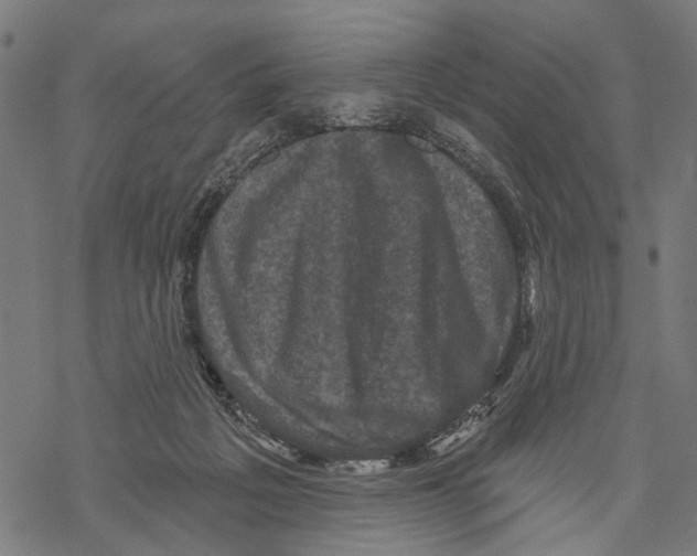 X0000067880217200605111833