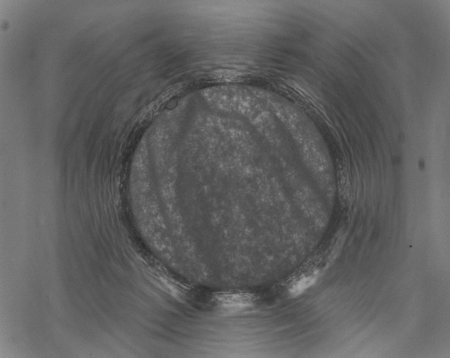 X0000067880221200605111833
