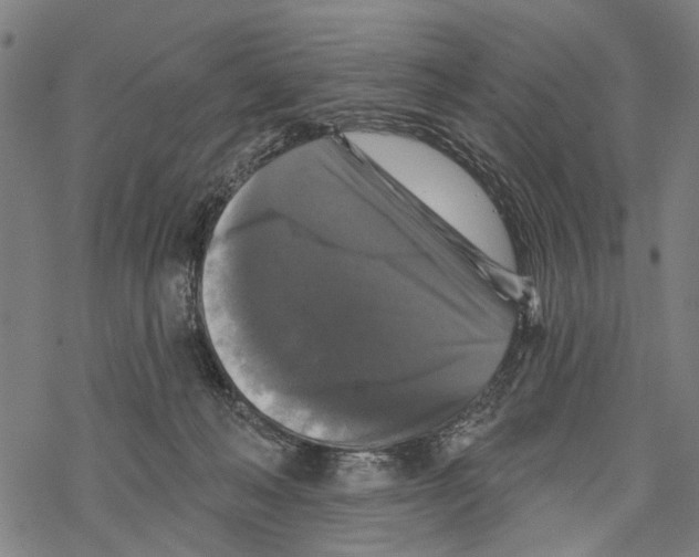 X0000067880222200605111833
