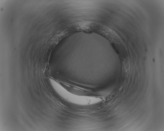 X0000067880223200605111833