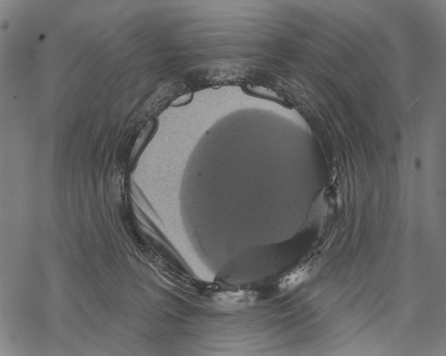 X0000067880227200605111833