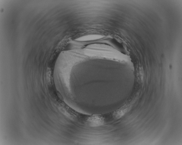 X0000067880231200605111833