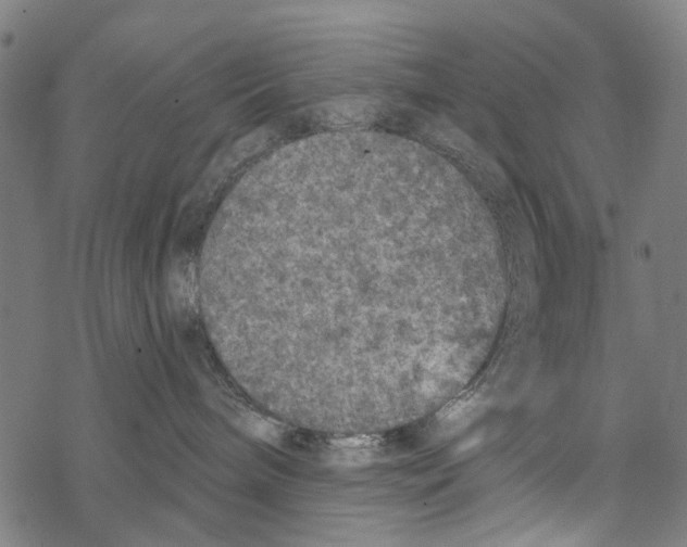 X0000067880240200605111833