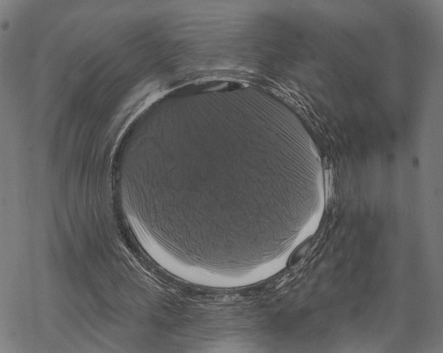 X0000067880243200605111832