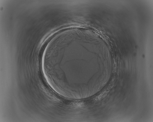 X0000067880247200605111832