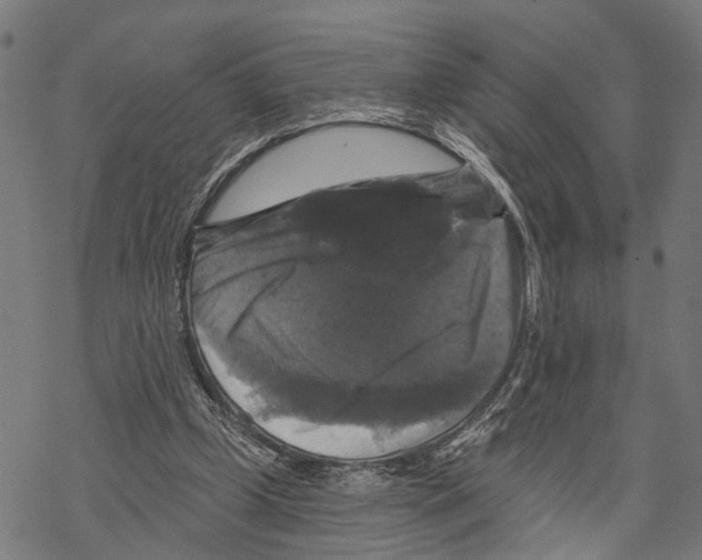 X0000067880249200605111832