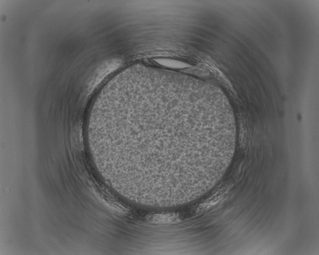 X0000067880251200605111832