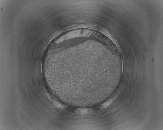 X0000067880253200605111832