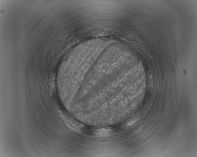 X0000067880274200605111833