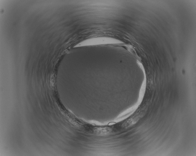 X0000067880277200605111833