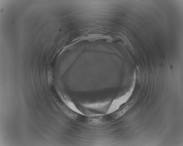 X0000067880285200605111833