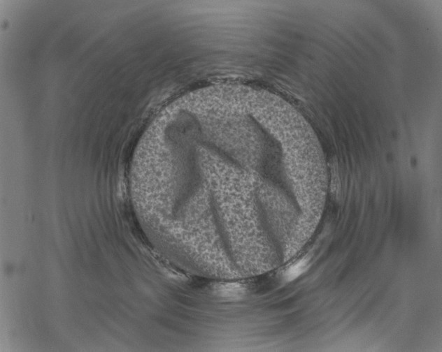 X0000067880287200605111833