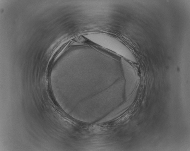 X0000067880290200605111832