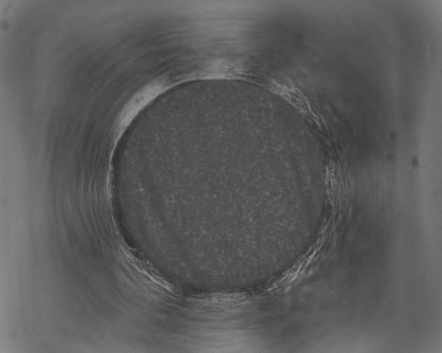 X0000067880292200605111832