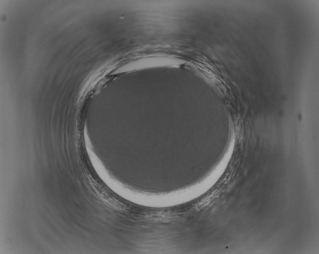 X0000067880293200605111832