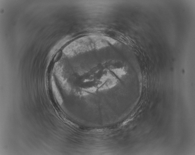 X0000067880294200605111832