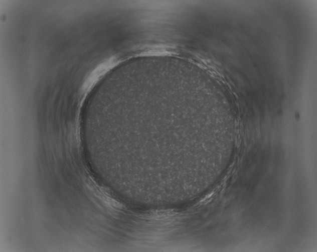 X0000067880296200605111832