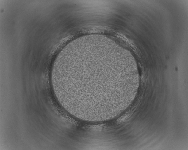 X0000067880306200605111832
