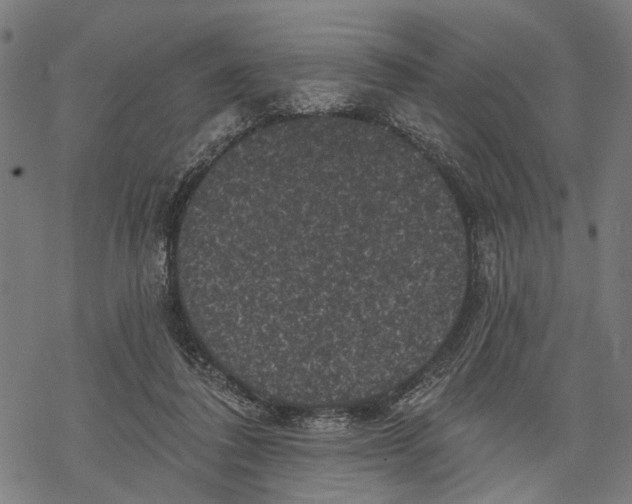 X0000067880308200605111832