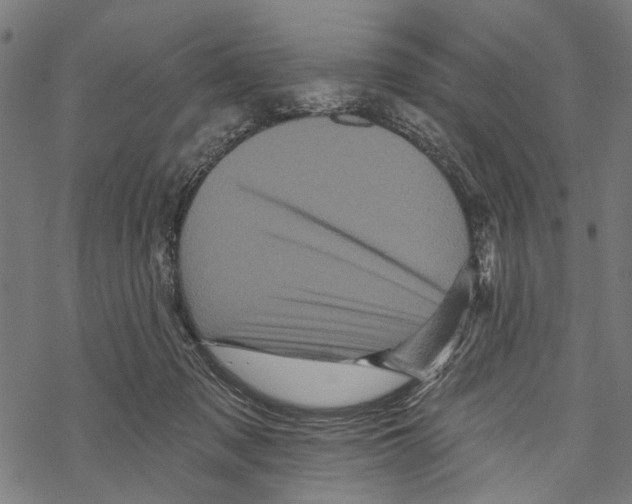 X0000067880317200605111832