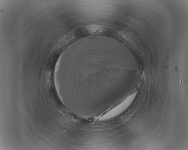 X0000067880319200605111832