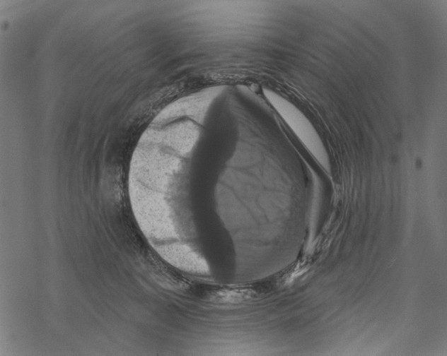 X0000067880323200605111832