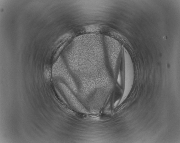 X0000067880329200605111832