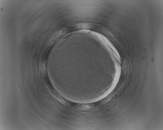 X0000067880330200605111832