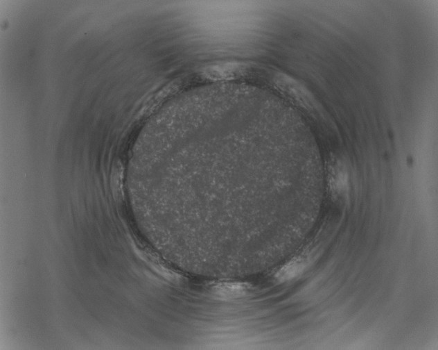 X0000067880332200605111832