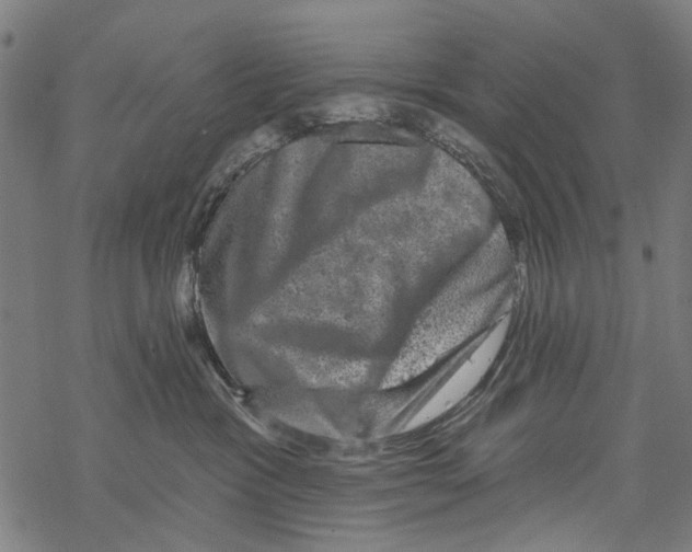 X0000067880333200605111832