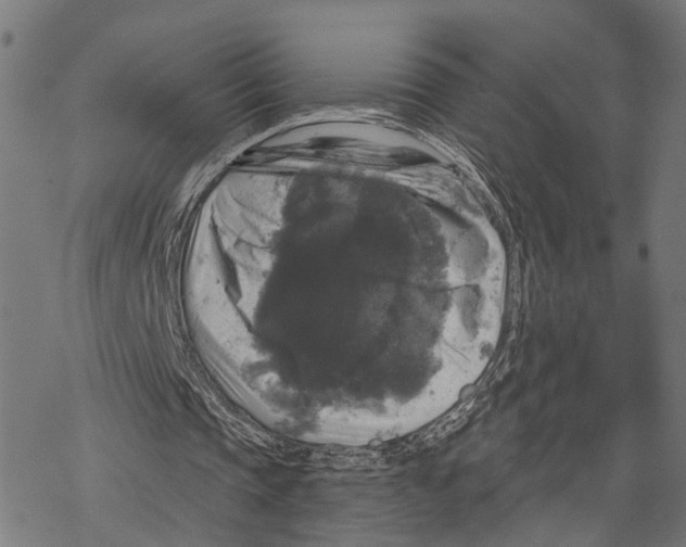 X0000067880337200605111831