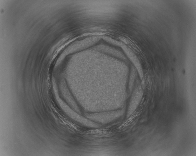 X0000067880338200605111831