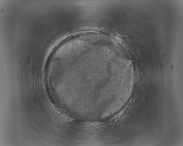 X0000067880342200605111831