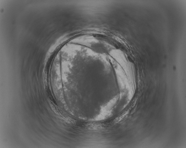 X0000067880343200605111831