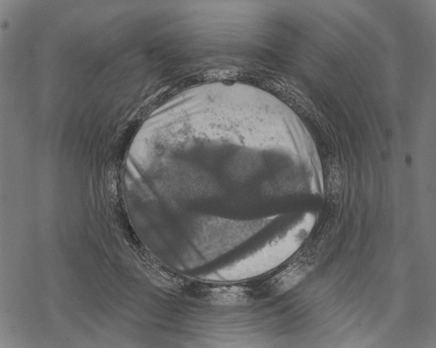 X0000067880363200605111831