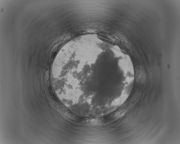 X0000067880365200605111831
