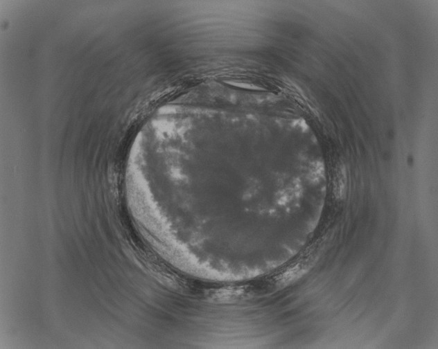 X0000067880366200605111831