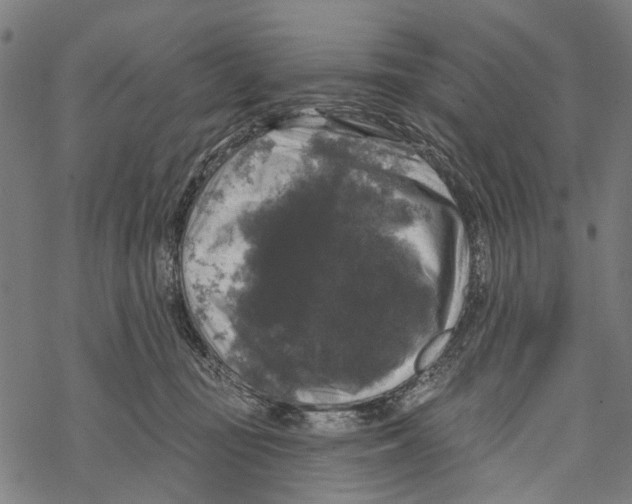 X0000067880371200605111831