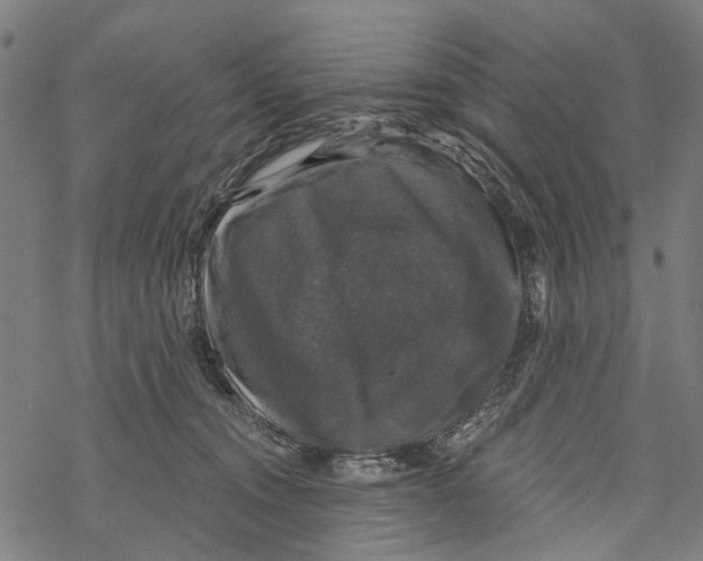 X0000067880372200605111831