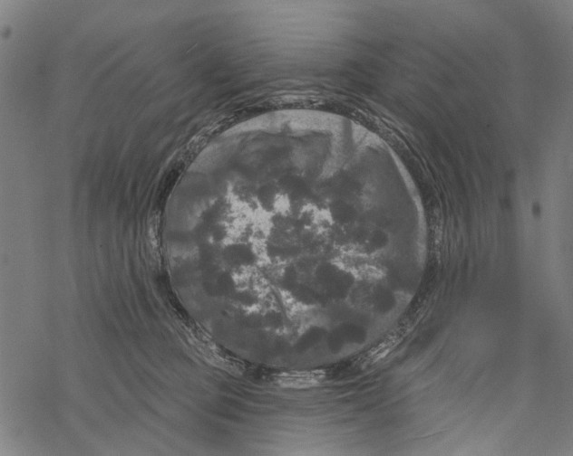 X0000067880373200605111831