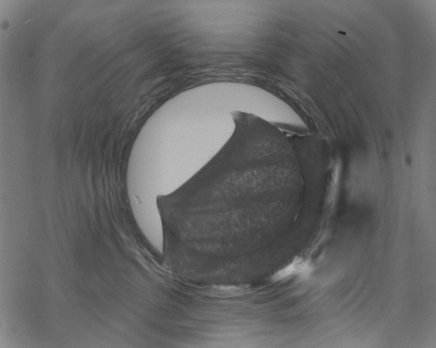 X0000067880380200605111831
