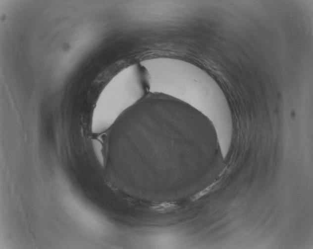 X0000067880382200605111831
